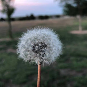 Meet your Posher, Ellie